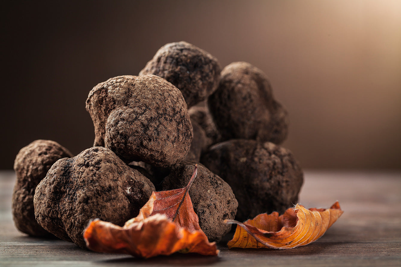 Where to buy Truffle in London | Black Truffle UK