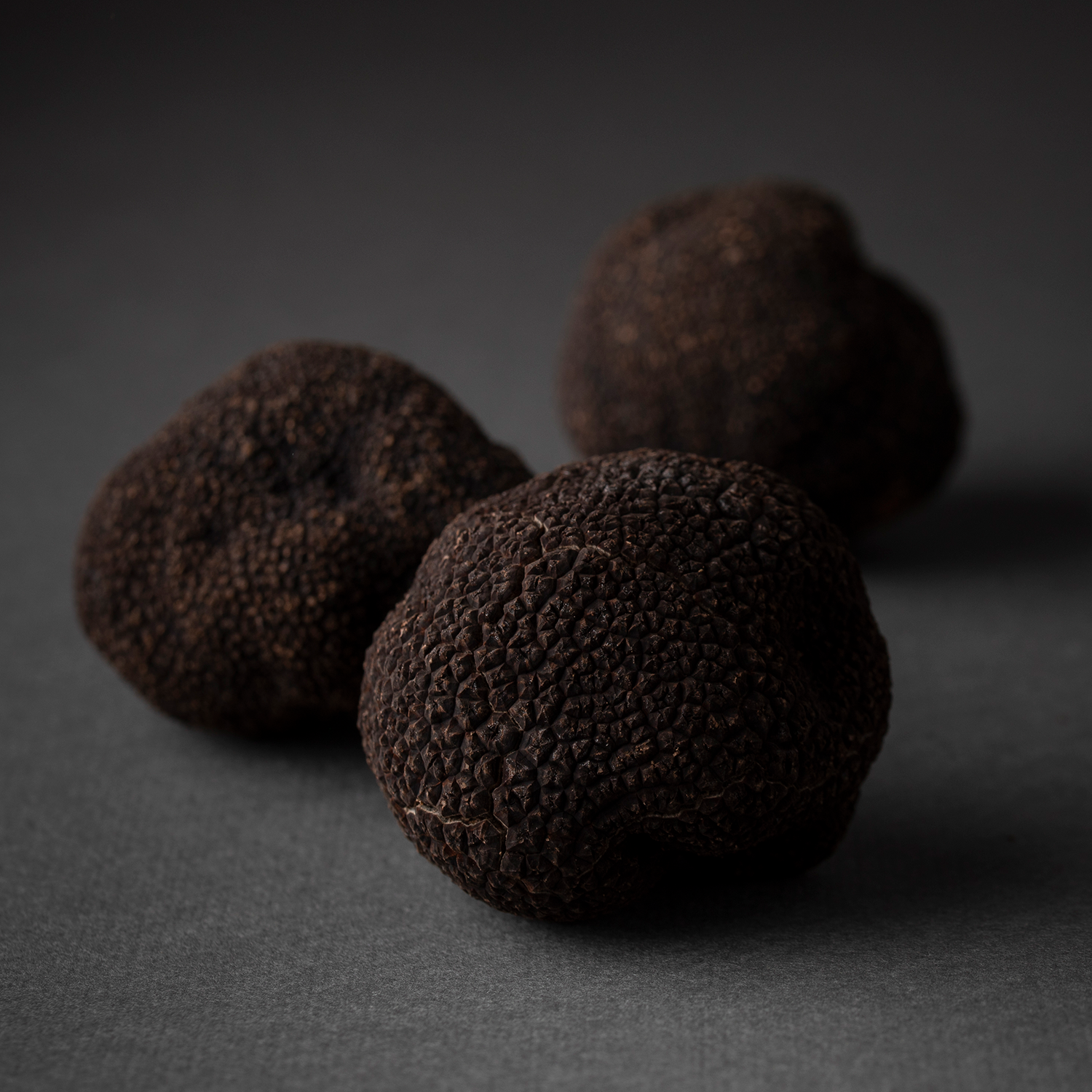 Black Truffle (Tuber Melanosporum)