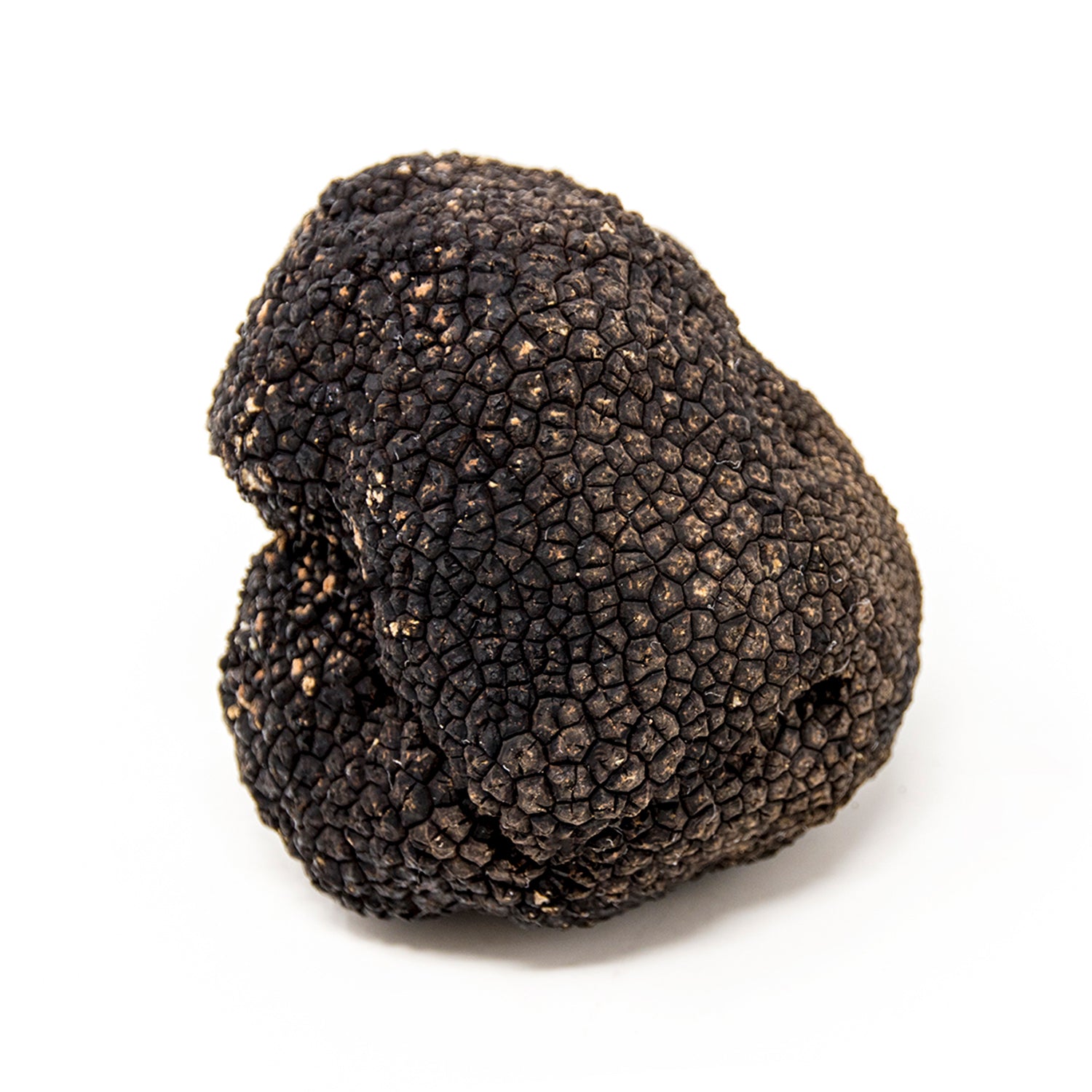 Summer Truffle (Tuber Aestivum)