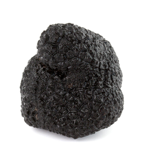 Whole Black Truffle preserved